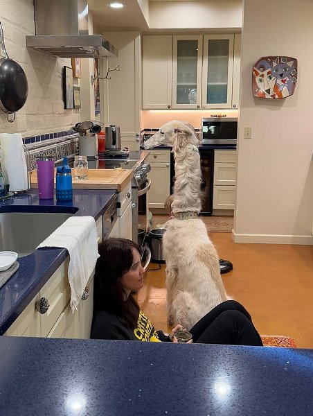  .   ,  -  .  .     . - 10