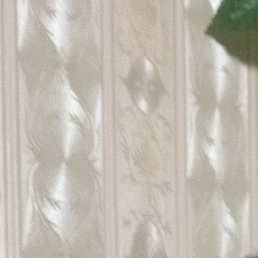 �����, ����, 55 ���