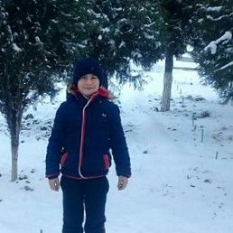 ����, ������, 40 ���