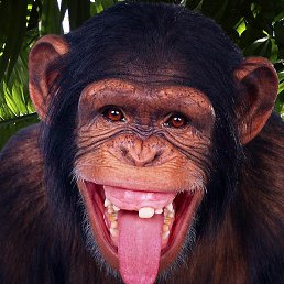 �����, ������, 31 ���