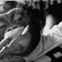 ���� ���������, ��������, 20 ��� - ��������� 16 �������� 2024