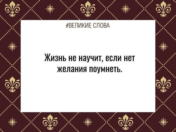   | ,    - 15  2024  23:41