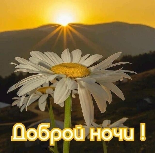  ,    . - 24  2025  20:45