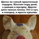 ���� �������, �����-���������, 51 ��� - ��������� 8 ����� 2025 � ������ ������ ��������