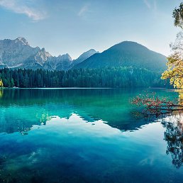 ����, �����������, 62 ����