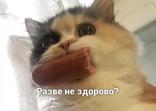  ) - 3