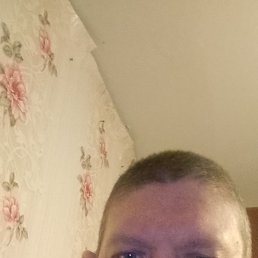 ���� ������, �����, 41 ��� - ��������� 29 ����� 2026