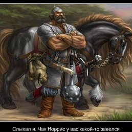 ���������, ������, 40 ���