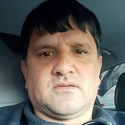 ����, �������, 43 ����