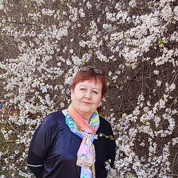 , 65, 