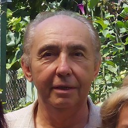 ������, ����, 81 ���