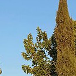 ����������, �����-���������, 28 ���