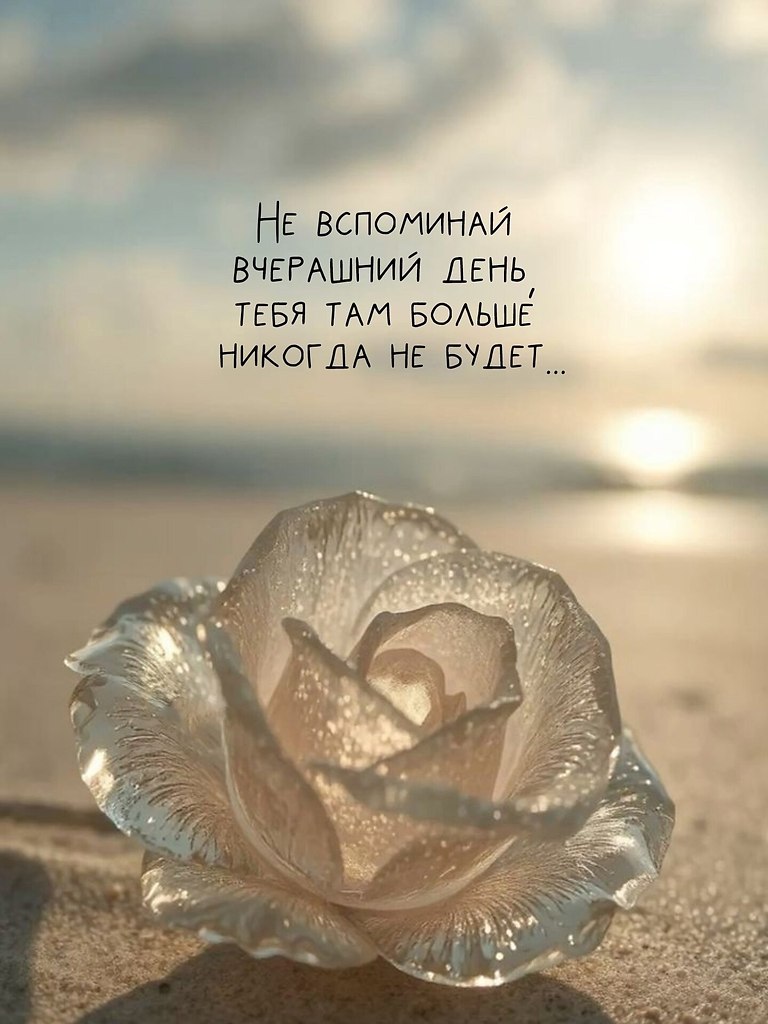   - 3  2025  14:26