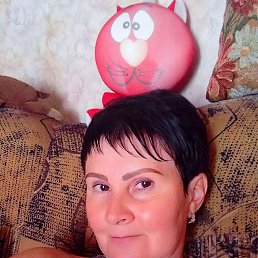 , 53, 