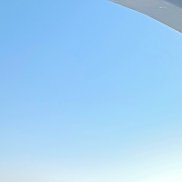 ������, 43 ����, ������