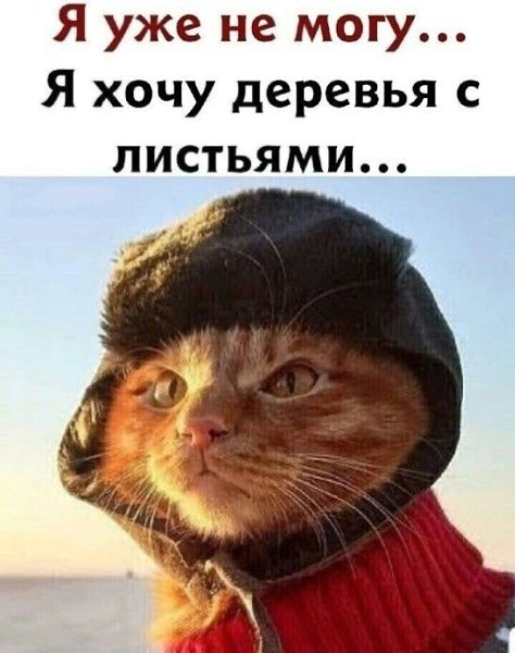   - 2  2023  22:43