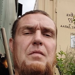 ����, ������, 41 ���