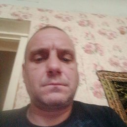 , 41, -