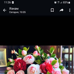 , , 32 