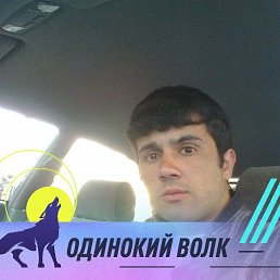 ���� ��������, ������, 36 ��� - ��������� 25 ����� 2026