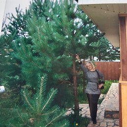 ���� ��������, ������������, 67 ��� - ��������� 25 ������ 2026