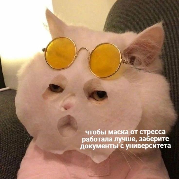    - 24  2023  18:28