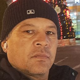 �����, ������, 51 ���