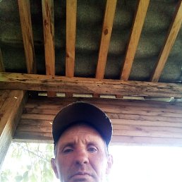 , 43, 
