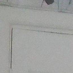 ������, ����, 42 ����