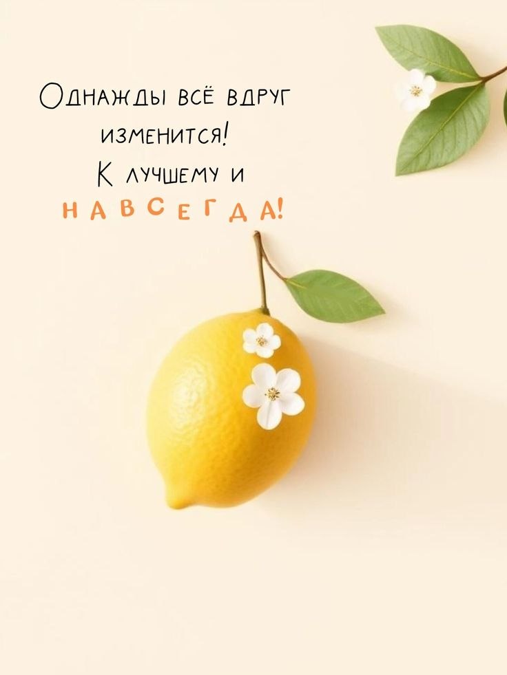   - 6  2025  18:05
