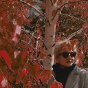 ���� ����, ����������, 47 ��� - ��������� 24 ������ 2024 � ������ ���� ����������