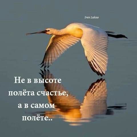 ₪╬═►  ||  ||  ◄═╬₪ - 18  2023  10:26