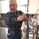 ���� ��������, ����������, 53 ���� - ��������� 29 ����� 2026 � ������ ���� ����������