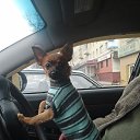 ���� ������, ����, 65 ��� - ��������� 19 ������ 2025 � ������ ������ ��������