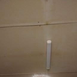 , 57, 
