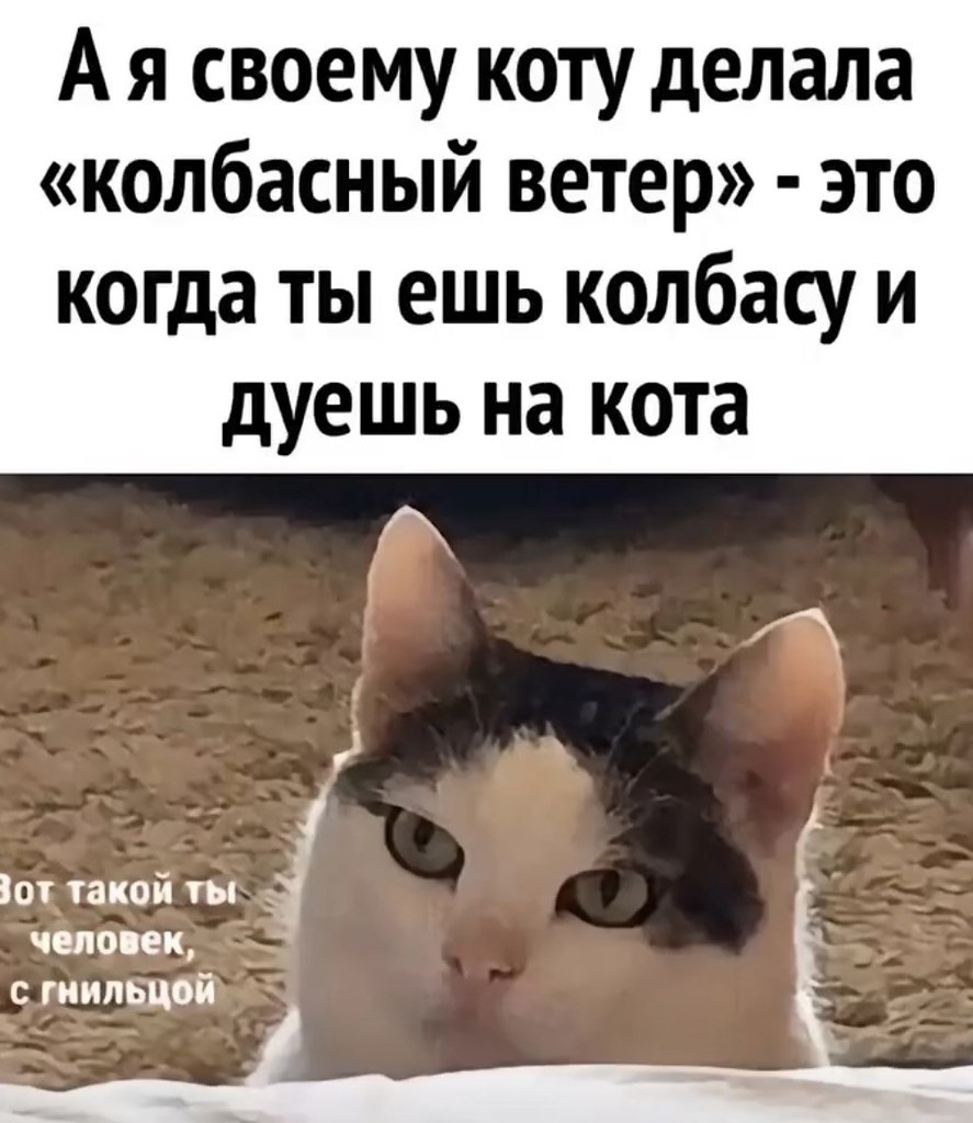  - 16  2025  06:17