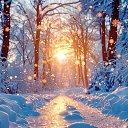 ���� ������, ������, 45 ��� - ��������� 12 ������� 2025 � ������ ���� ����������