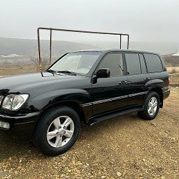 ������, ���������, 46 ���