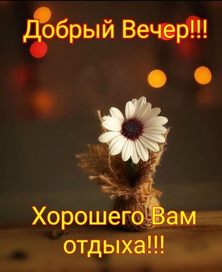   ,    . - 25  2025  19:35 - 4