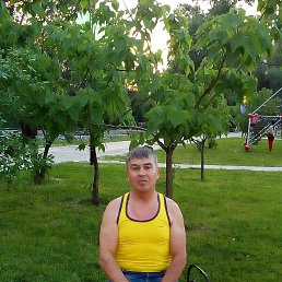 , 60, --
