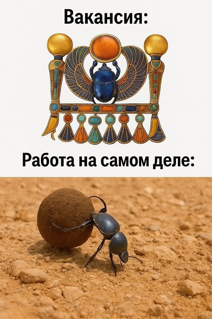   - 21  2025  19:00