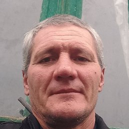 ���� ����������, ������, 51 ���