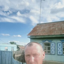 ������ �������, 44 ����, ���������