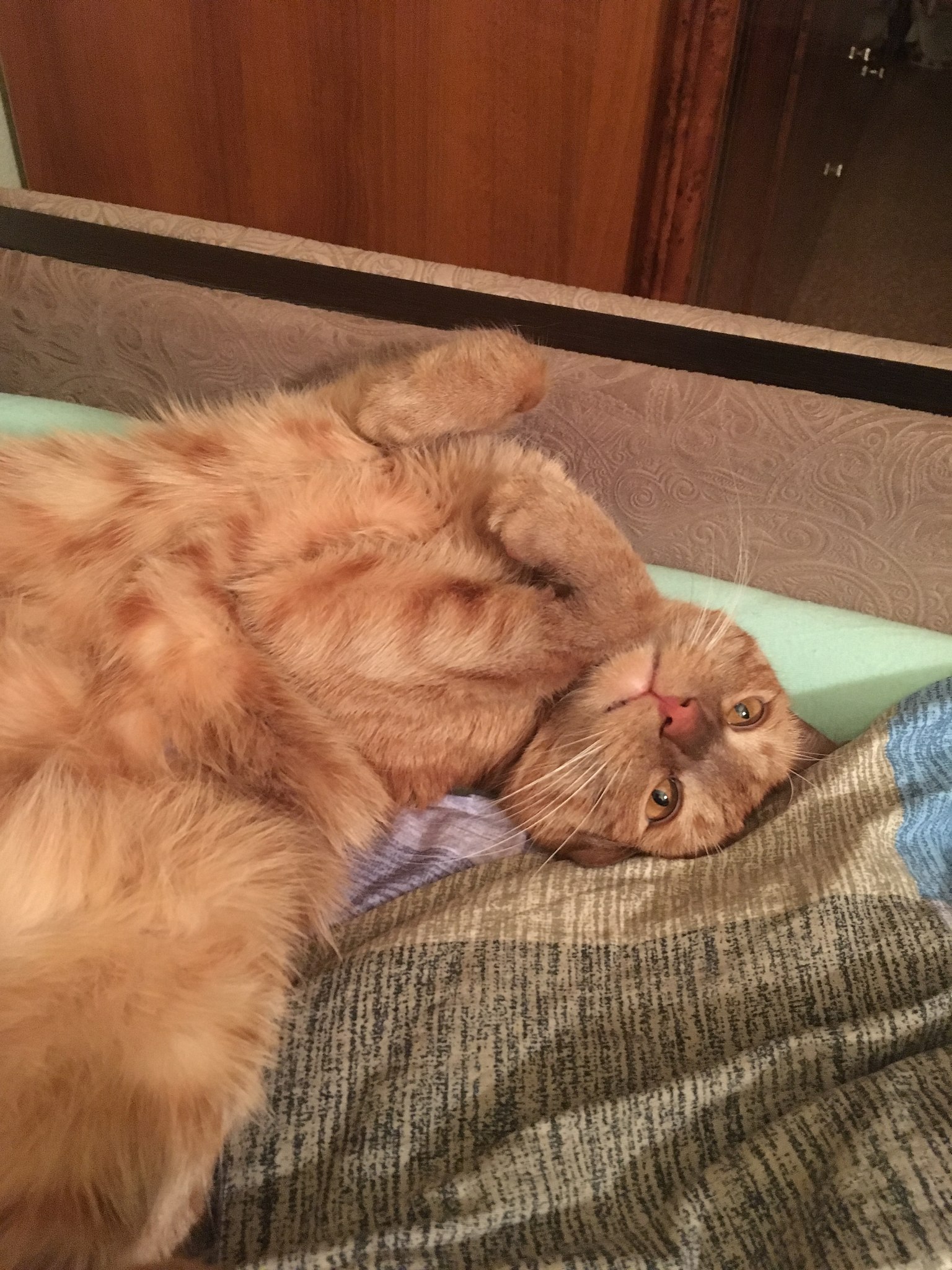   - 8  2025  01:07 - 2