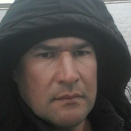 �����, �������, 48 ���