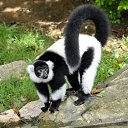 ���� �������, ������ - ��������� 20 ��� 2024 � ������ ������ ��������