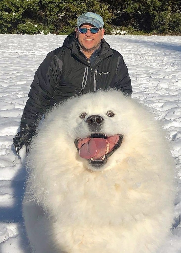 Round animals. Floof.