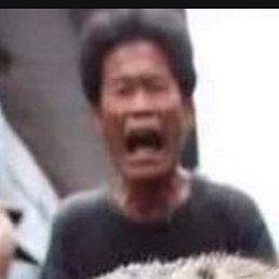 �����, ������, 40 ���