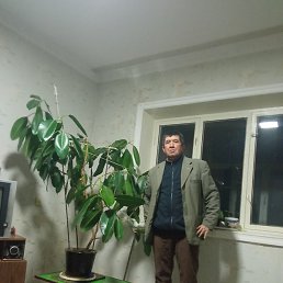 �����, �����, 62 ����