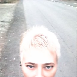 , 37, 